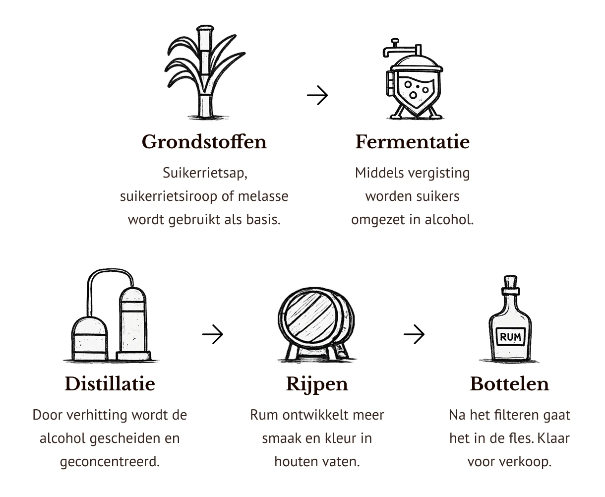 Infographic over het productieproces van rum.